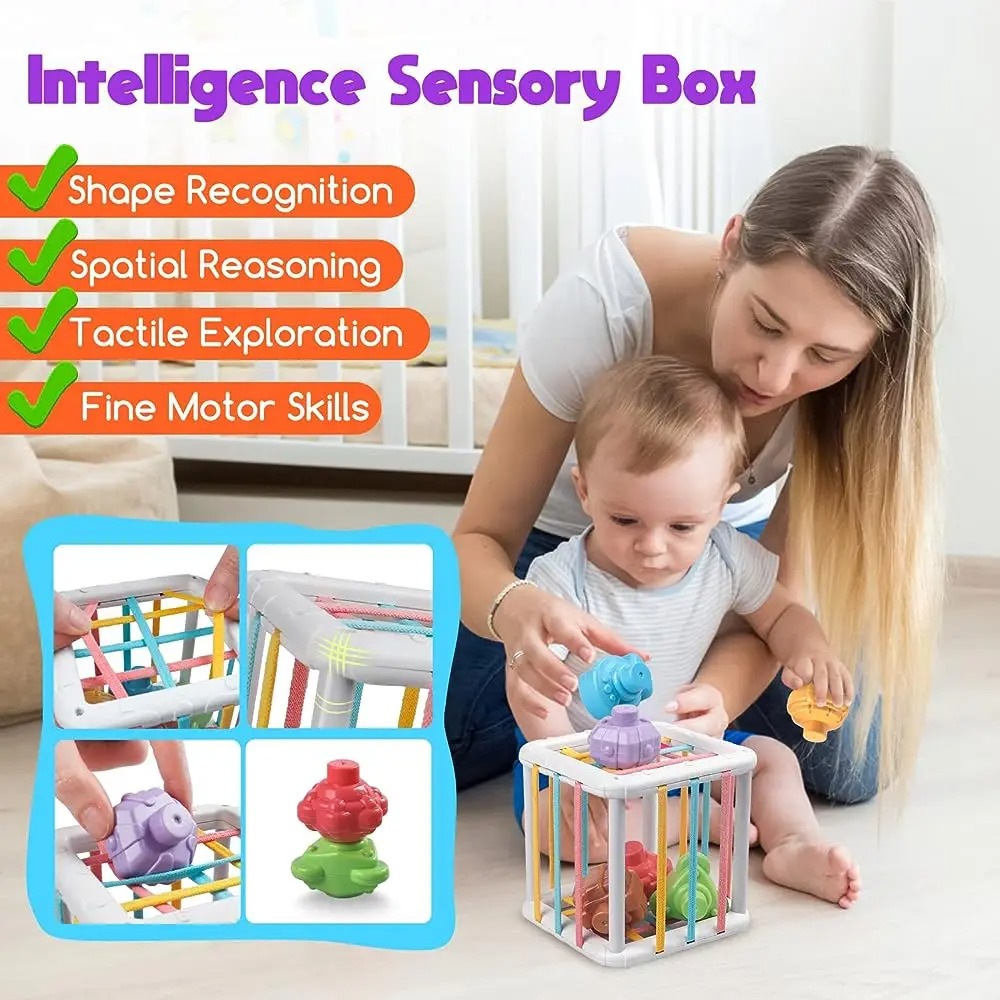 Rainbow Colorful Montessori Sh – Baby Products Toys recenzja i cena