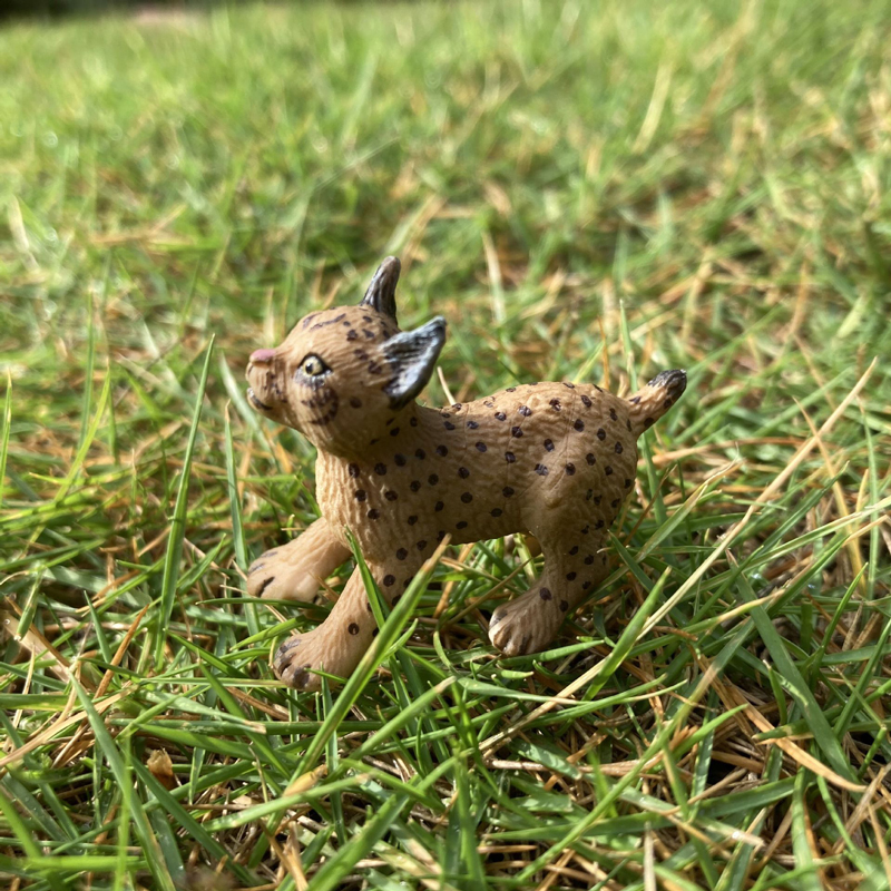 Realistic Animal Toy Model Min – Baby Products Pictures recenzja i cena