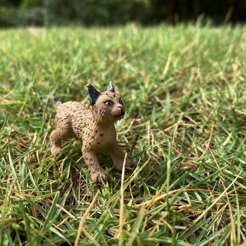 Realistic Animal Toy Model Min – Baby Products Pictures recenzja i cena