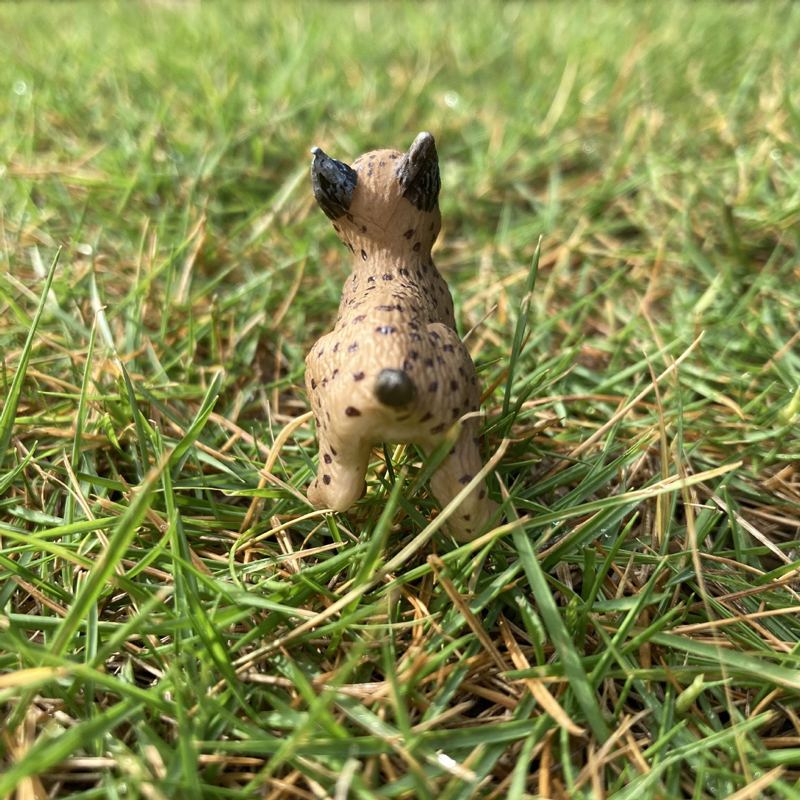 Realistic Animal Toy Model Min – Baby Products Pictures recenzja i cena